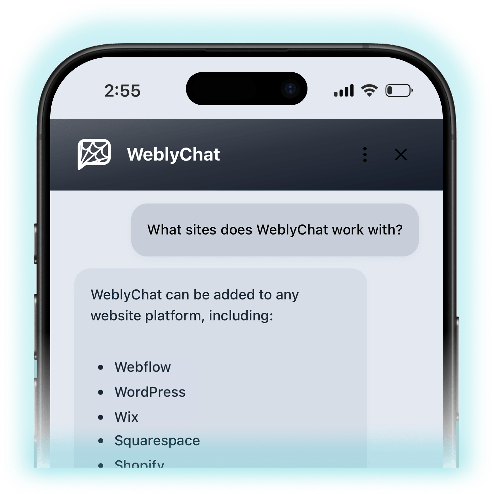 AI Customer Service Agent for Your Website